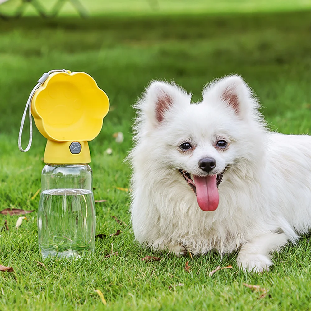 Thumbnail 2 - #12 Best Portable Puppy Water Bottles to Buy In 2026
