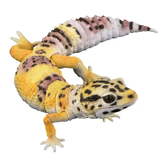 Genuine Gacha Scale Model Biological Cognitive Model Armadillo Wall Lizard Movable Decoration Action Figure Toys
