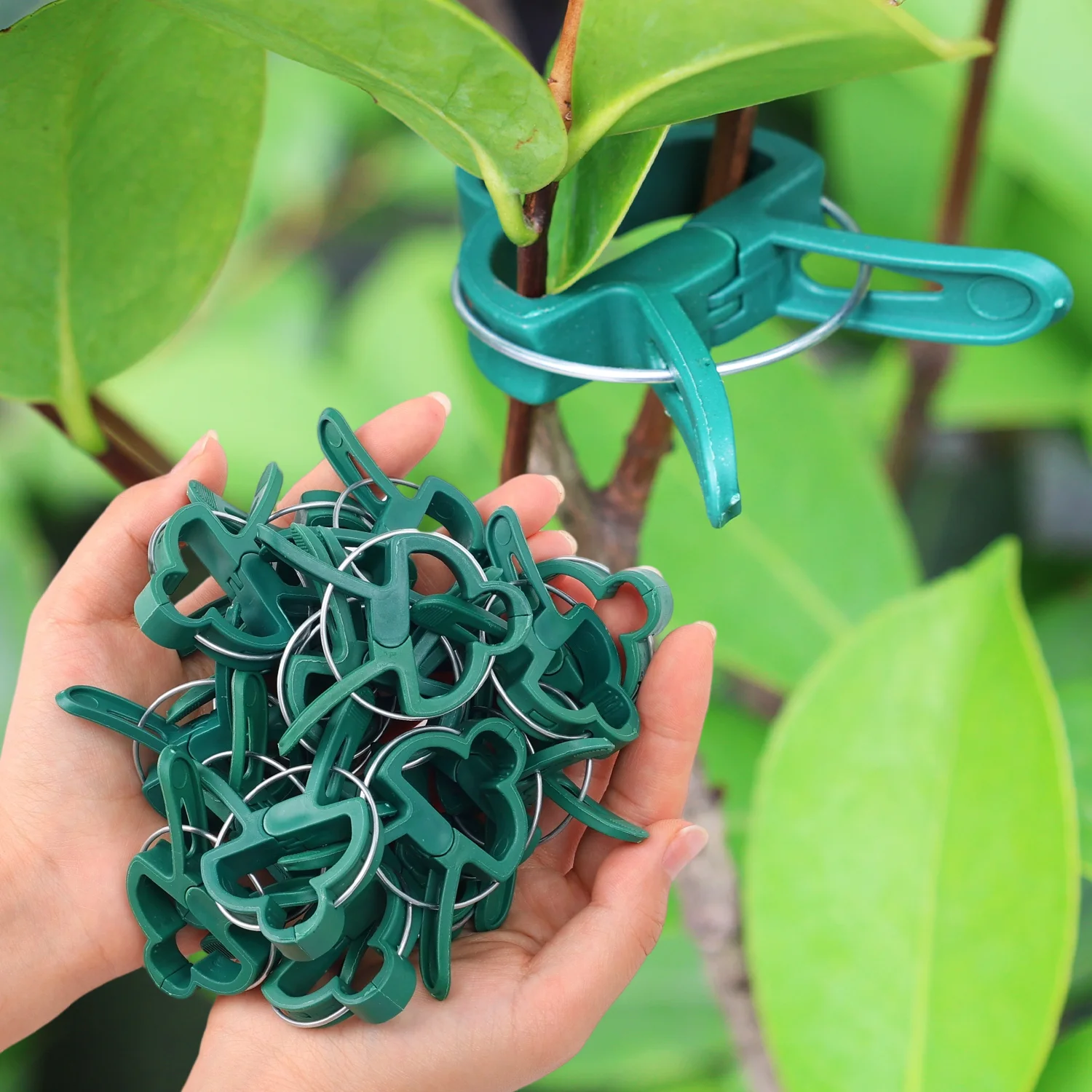 20-120pcs Plant Fixed Clips Reusable Garden Plant Support Bracket For Fixed Plants Vine Flower Seedling Stem Garden Supplies
