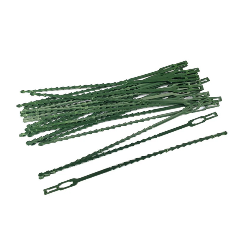 30/50 Pcs fascette per cavi da giardino riutilizzabili supporto per piante arbusti chiusura per alberi chiusura in Nylon regolabile in plastica PE fascette per cavi strumenti