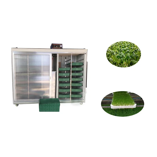 Automatic bean sprout growing machine box-type bean sprouts machine