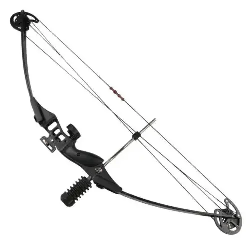 M183 outdoor shooting archery wholesale compound bow for hunting