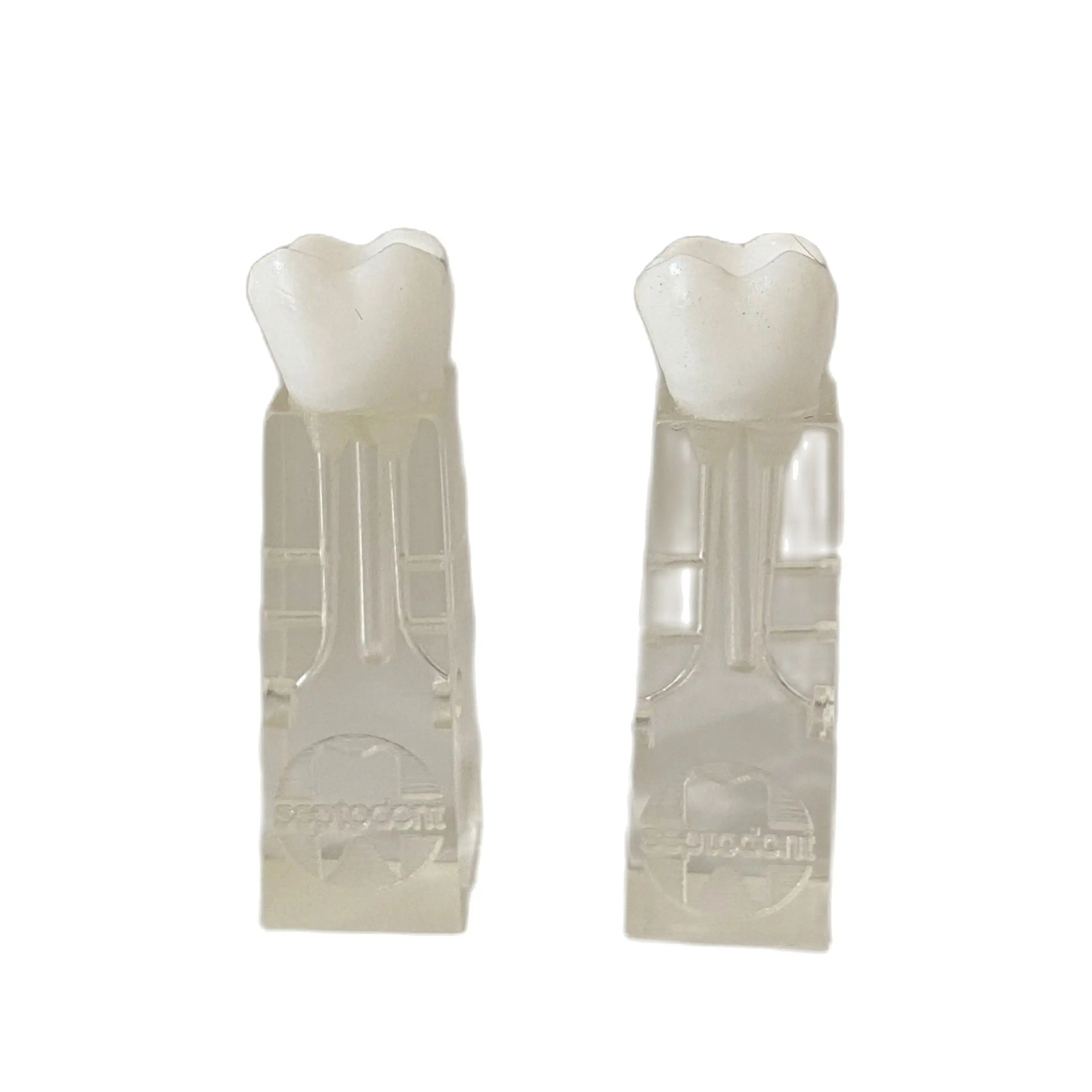 3 قطع ملفات RCT الأسنان ممارسة كتل المولي ملف كتلة يناسب نقار الخشب إندو موتور #3