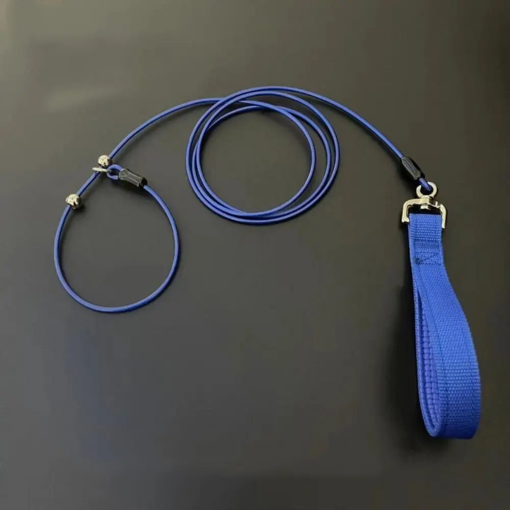 Colorful Puppy Trai…