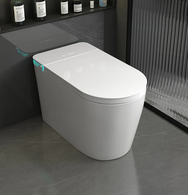 

Luxury One-Piece Smart Bidet Toilet Inodoros Inteligentes