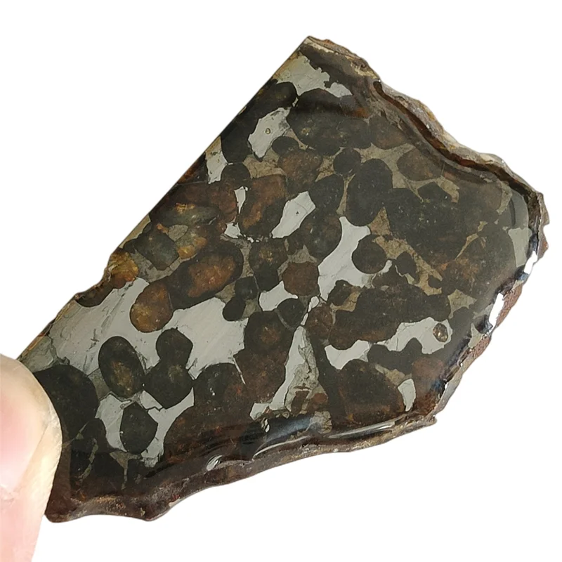 Kenya Sericho Olive Meteorite Slice Specimen Natural Meteorite Material 19.8 Grams Olive Meteorite Specimen