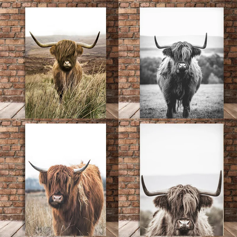 Highland Cow Poster Scottish Cattle Animal Canvas Painting Modern Black And White Wall Art Picture For Room Home Decor Aesthetic