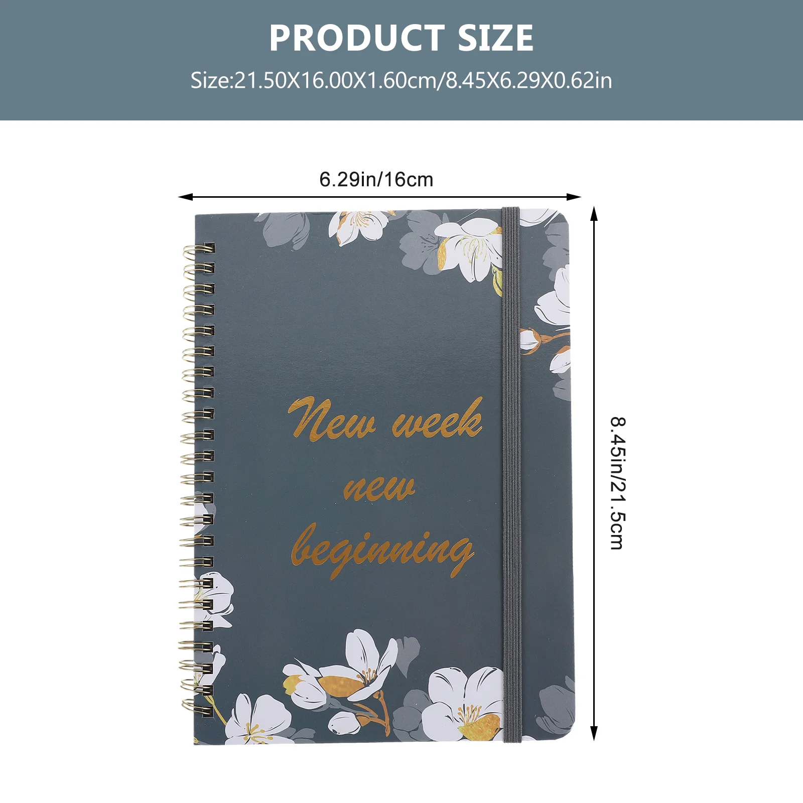 Agenda settimanale Notebook Programma Manuale La pianificazione Bobina Appuntamento Blocco note Blocco note Carta Parola inglese