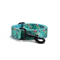 Leash