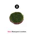 Green S
