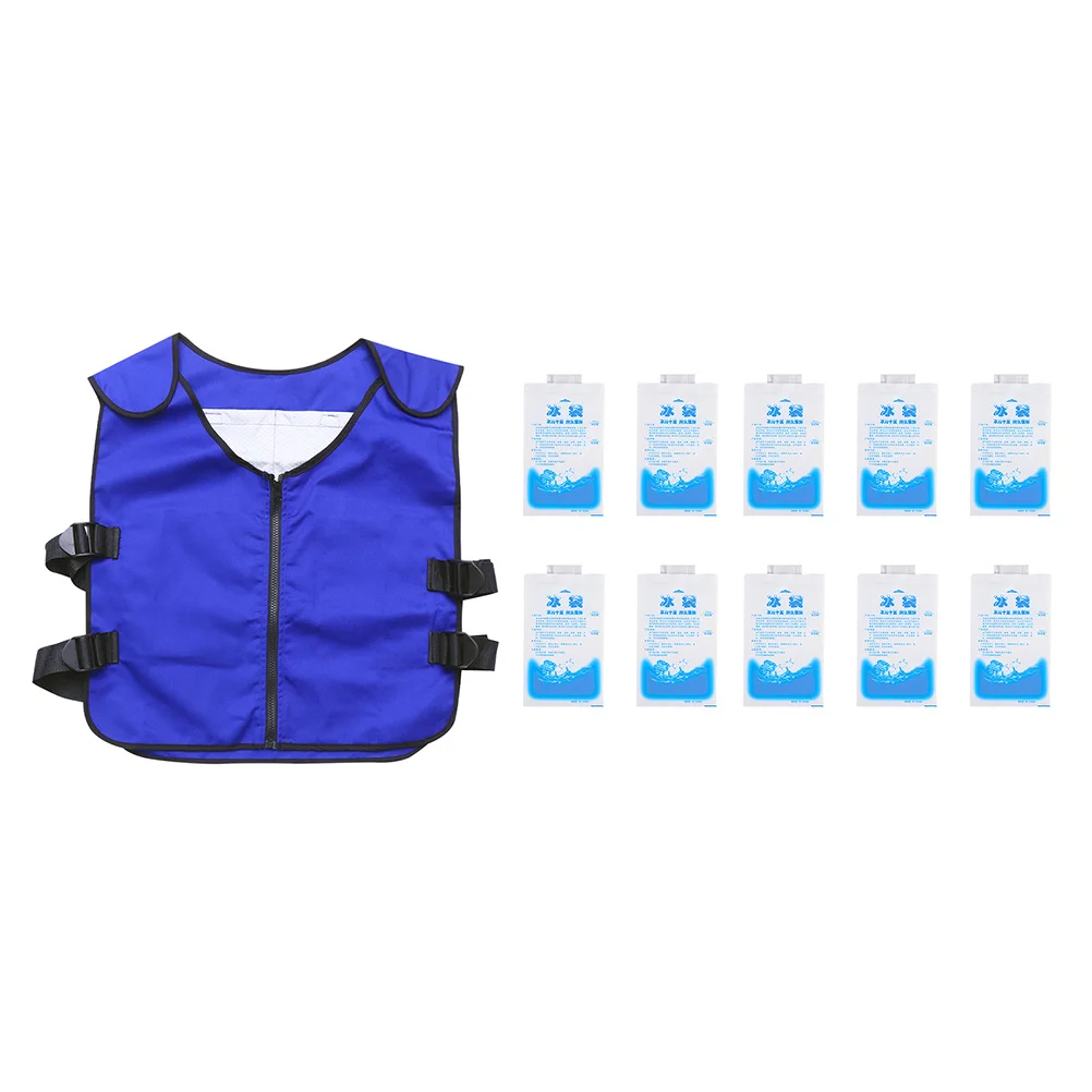 

1Set Summer Cooling Vest Ice Vest Outdoor Blue Breathable Lightweight Comfortable Cooling Waistcoat Reusable for Men