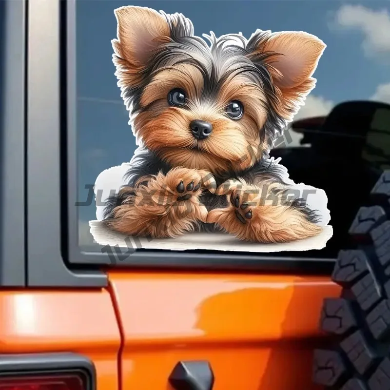 

Cartoon Yorkie Dog Funny Waterproof Vinyl Car Decal, Exterior Decorative Accessories, Used for Car, Motorcycles, Laptop