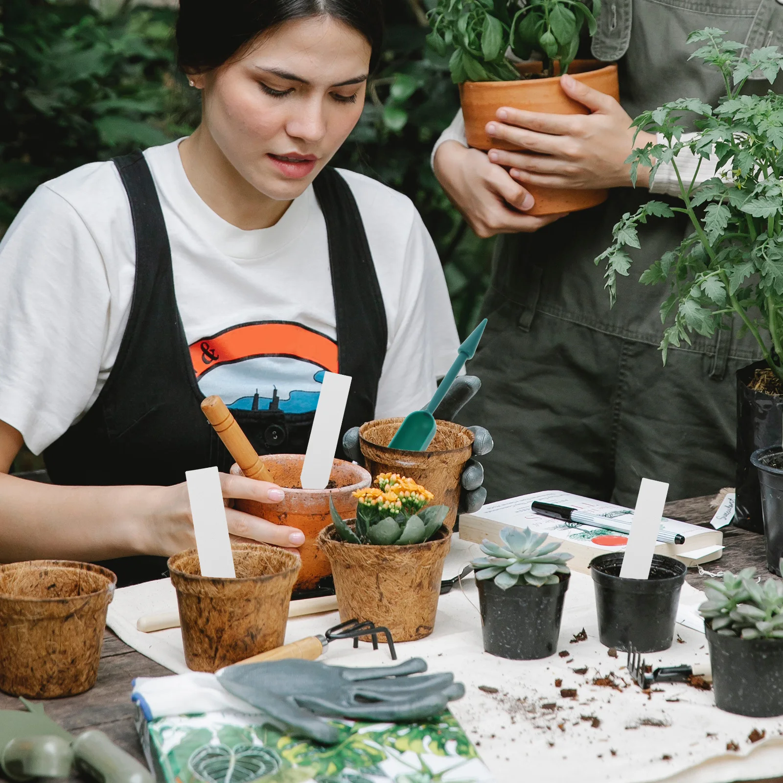 

1Set Succulent Planting Tool Transplant Gardening Supplies Multi-Functional Flowerpot Tools Gardening Hand Tool Kit