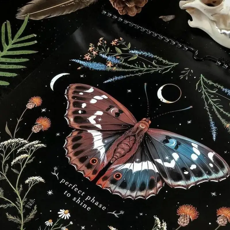 Dark Forest Lunar Calendar 2024 Contains 12 Original Illustrations Drawn Throughout The Year, 12 Monthly Colorful