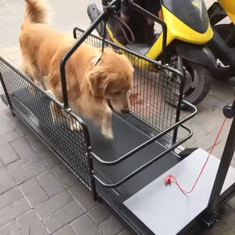 

Treadmill Machine for Dogs Big Small Dog Treadmill Pet Dog Treadmill Walking Machine for Weight Loss Rehabilitation