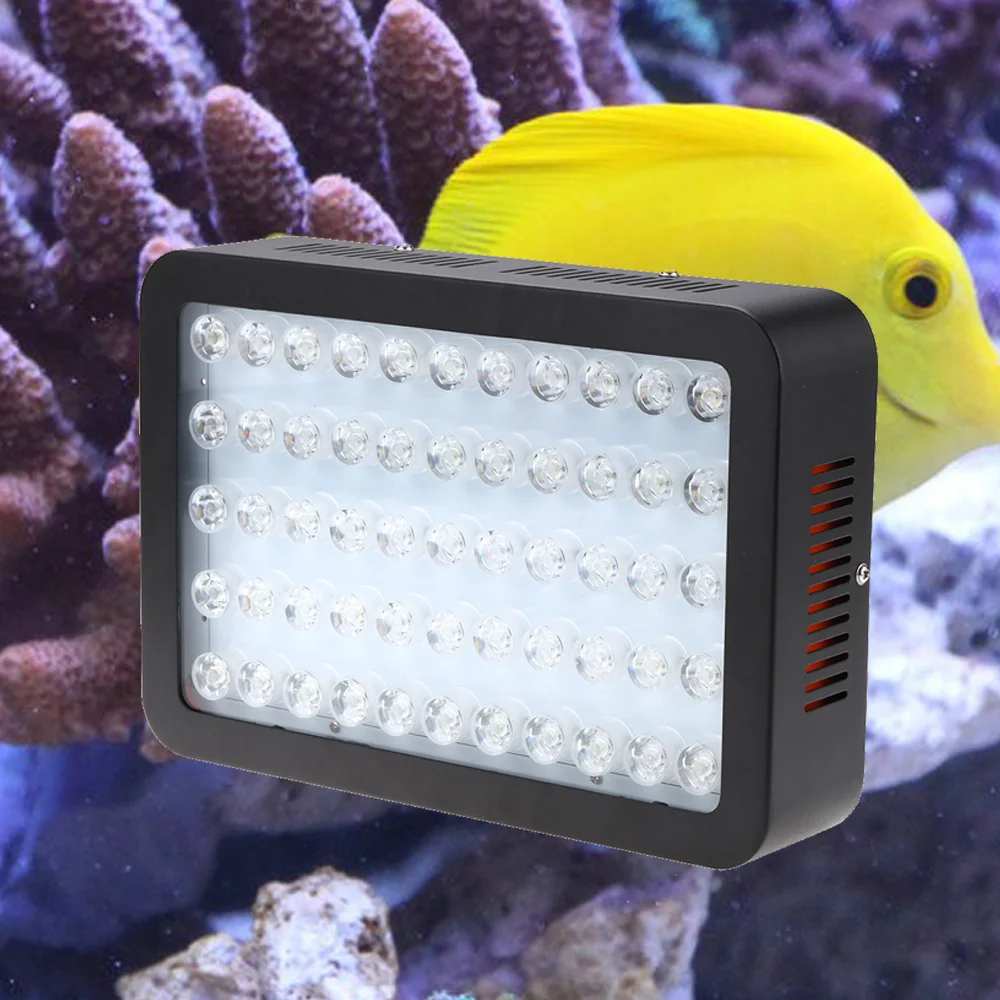 3W Chip LED voor aquarium, pro - Marine Aquarium Used recensie en prijs