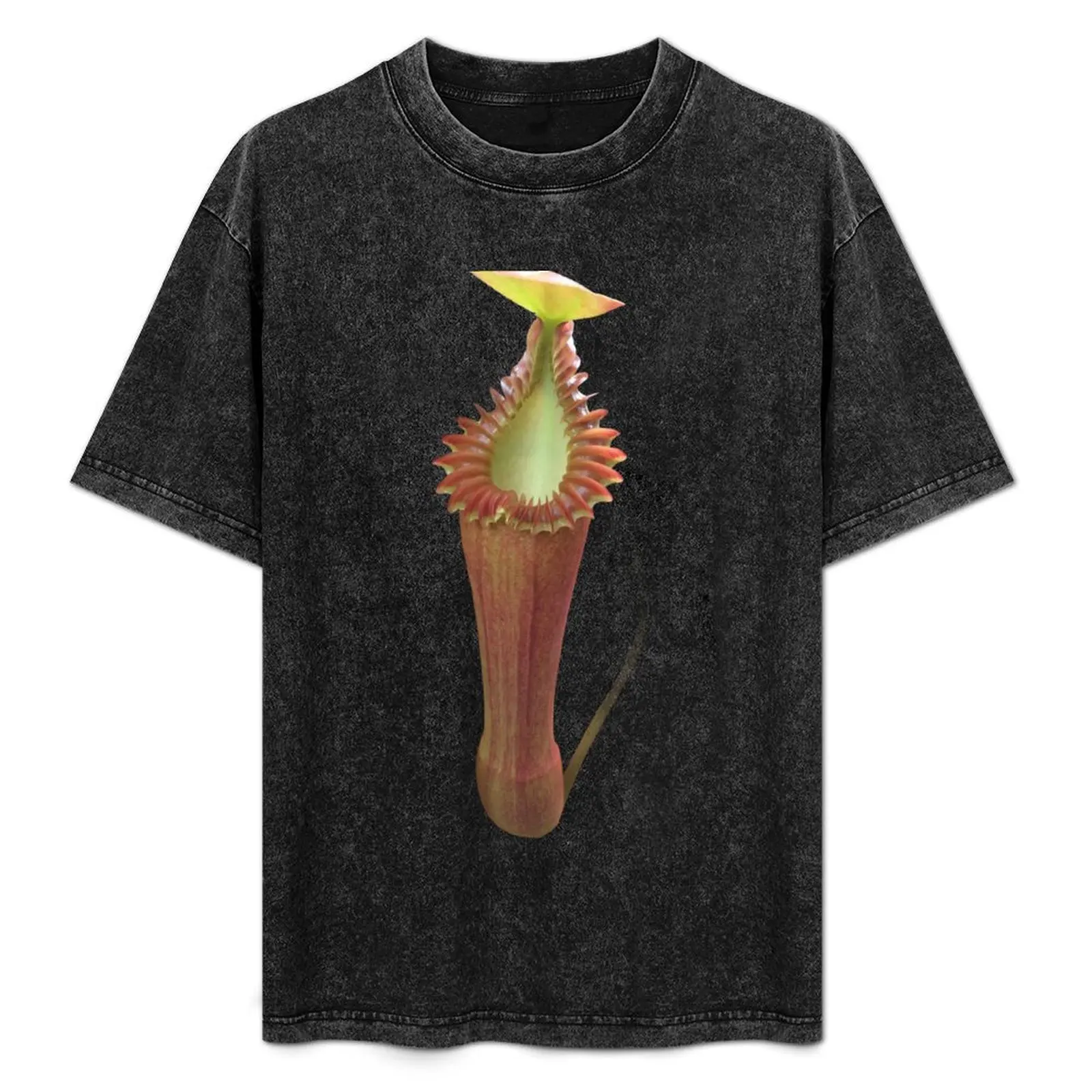 

Nepenthes edwardsiana, king of the carnivorous plants. T-Shirt Big and Tall Basic Tee Shirt