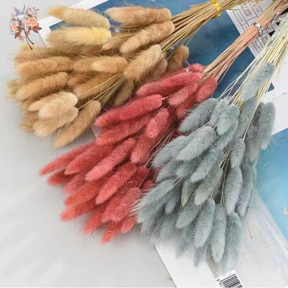 60Pcs Fluffy Bunny Rabbit Tails Grass Bouquet Home Decor Dried Flowers Natural Lagurus Ovatus Pampas Wedding Floral Decoration