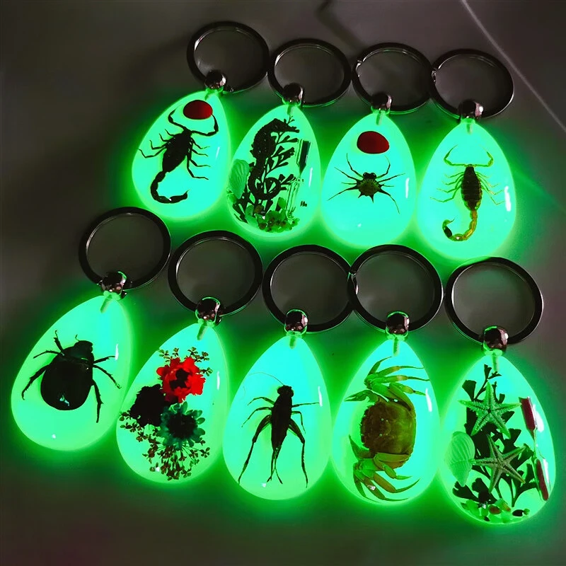 Porte-clés lumineux pour voiture, ambre, insecte, Scorpion noir, pendentif pour décoration de citroën