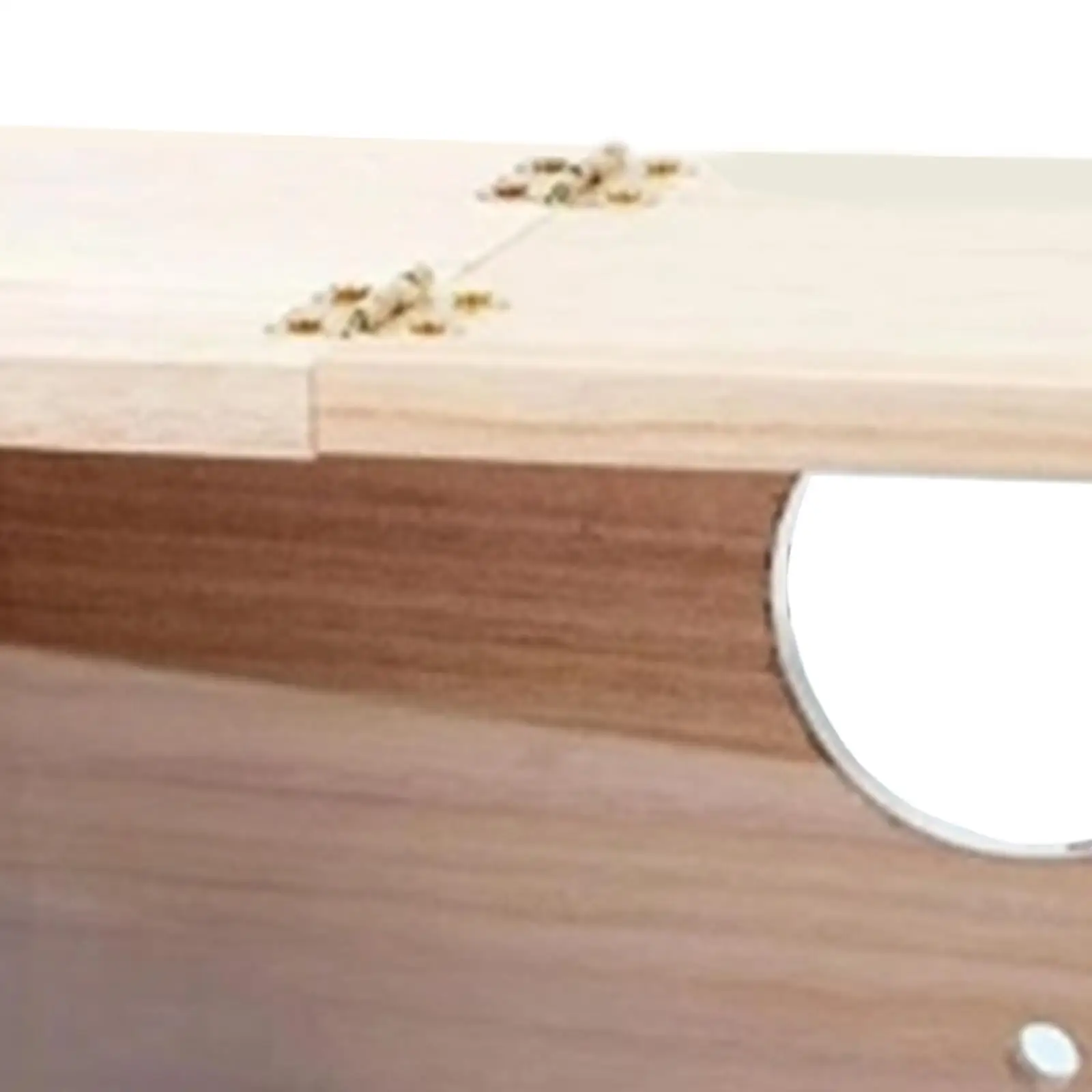 Nido con ventana para periquitos y agapornis – Caja de cría decorativa - imagen 5