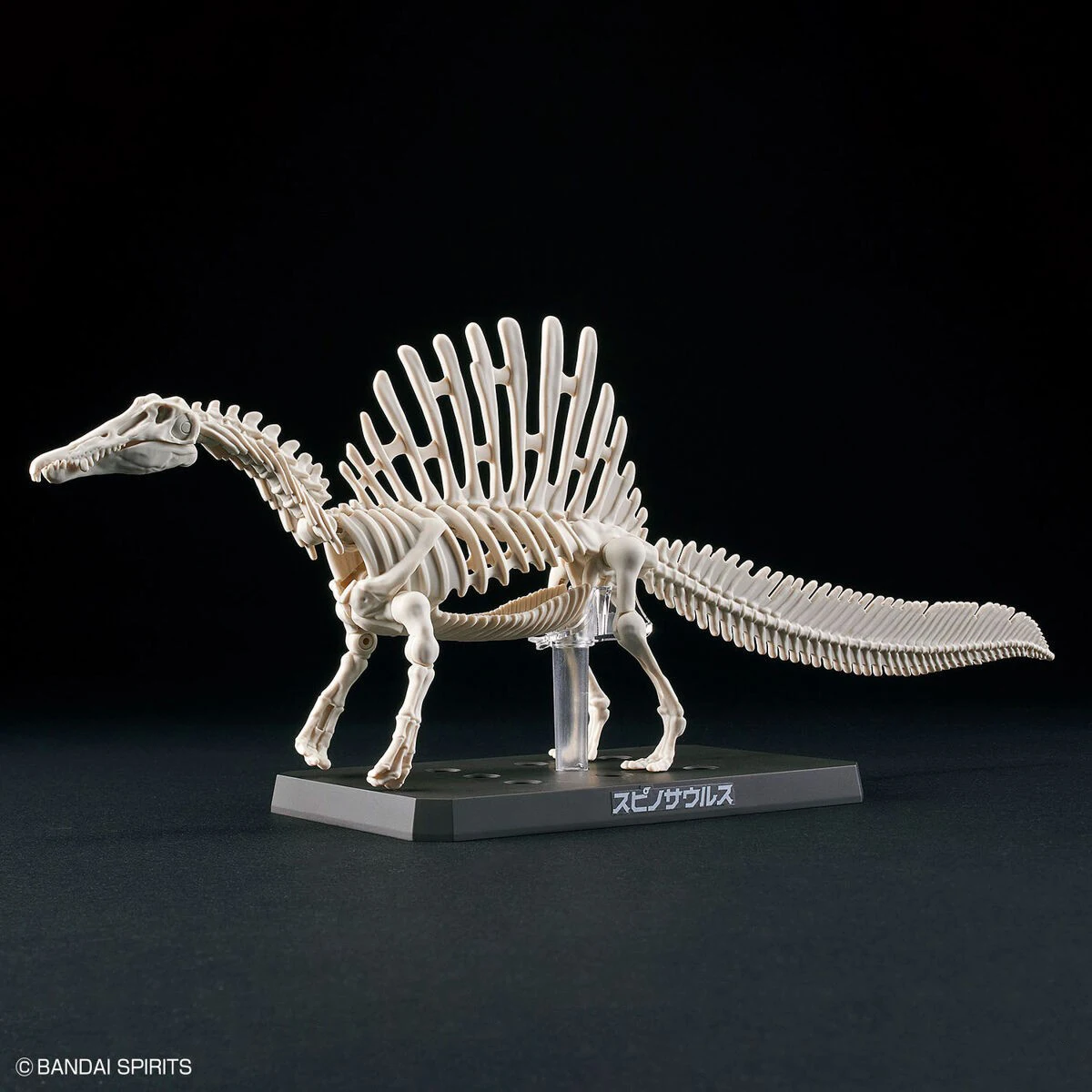 In Stock Original BANDAI Planosaurus Spinosaurus 05 Dinosaur Assembly Model PVC Action Assemble Model Toys