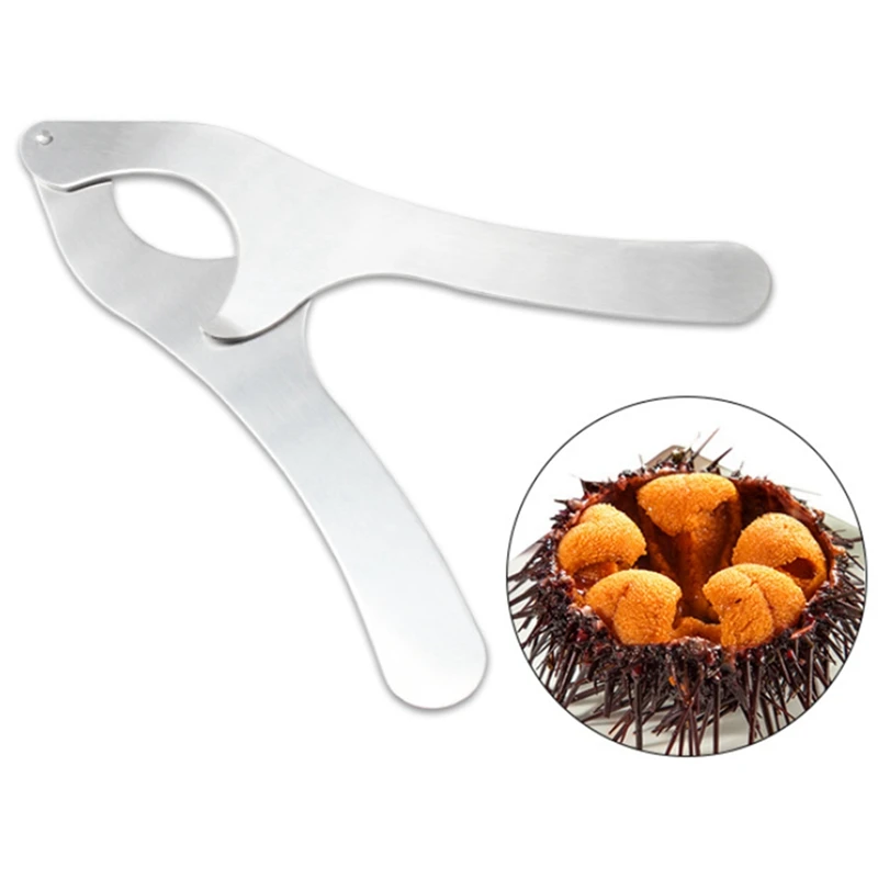 Forbici da taglio per guscio di riccio di mare in acciaio inossidabile risparmio di manodopera strumenti per l'apertura del guscio di riccio di mare forbici gadget da cucina