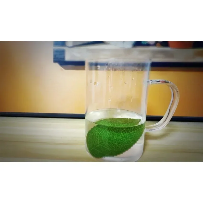 

Лист в рыбу от J.C Волшебные трюки Лист исчезает рыбу Появляется визуальное изменение Магия Сценическое производство Иллюзии Уловки Реквизит