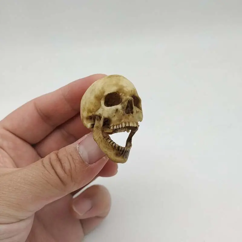 �y�Z�[�����z1/6 �X�P���g���͌^�ߋ���蓪�W�����f���l�Ԃ̃X�P���g���A�N�V�����t�B�M���A��������