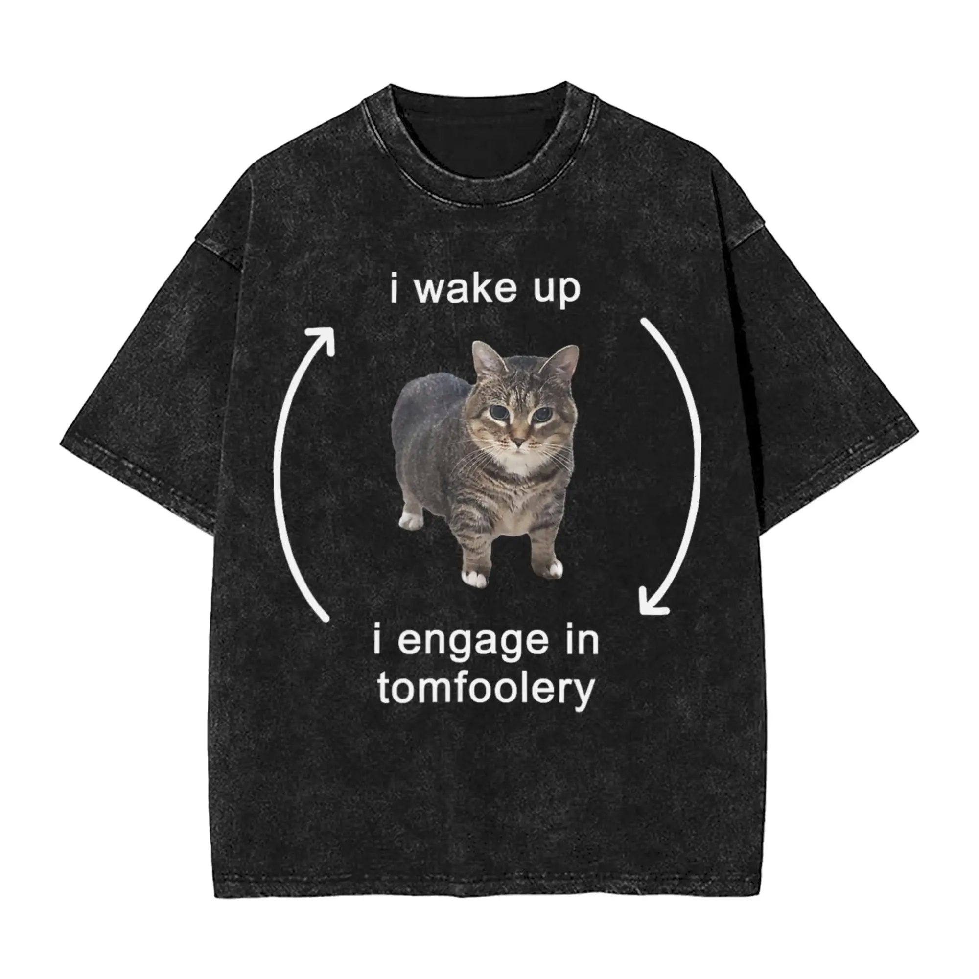 I Wake Up I Engage in Tomfoolery Silly Cat Meme Washed T Shirt Streetwear T-Shirt Tees Tops for Men Women Short Sleeve Summer
