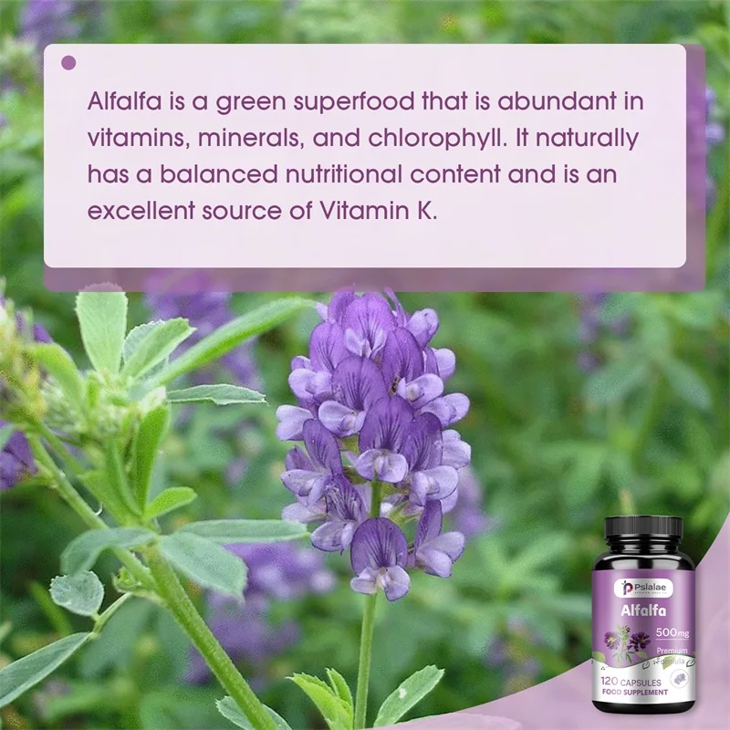 Alfalfa - Supports Urinary Tract and Digestive Health, Promotes Energy and Vitality