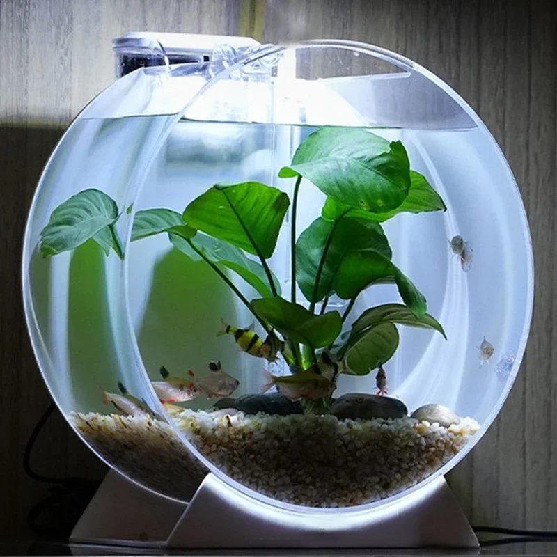 Accessoires d'aquarium multi-taille, table de bureau à domicile, acrylique sur pied, aquarium rond, créatif