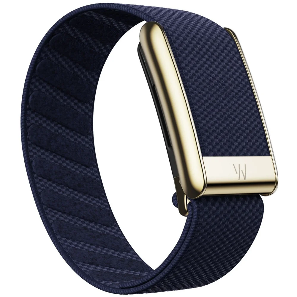 Passend für Whoop 5.0 Mg Armband mit W-Logo Leder Nylon Gewebtes Elastisches Whoop Sport-Ersatzarmband Gold Silber Metall