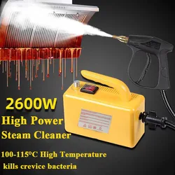 2600W Home Steam Cleaner High Temperature Sterilization Air Conditioning Kitchen Hood Car Appliances Steam Cleaning Machine 220V