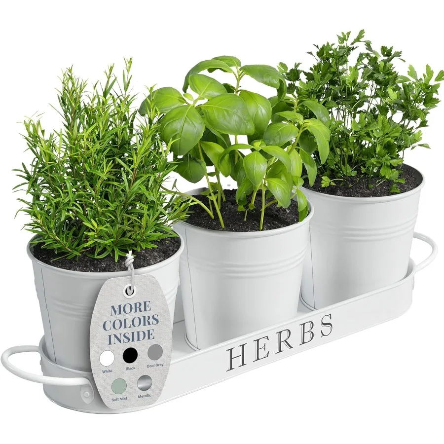 

Indoor Herb Garden Planter Set with Tray Metal Windowsill Plant Pots with Drainage for Outdoor or Indoor Plants Set 3 White