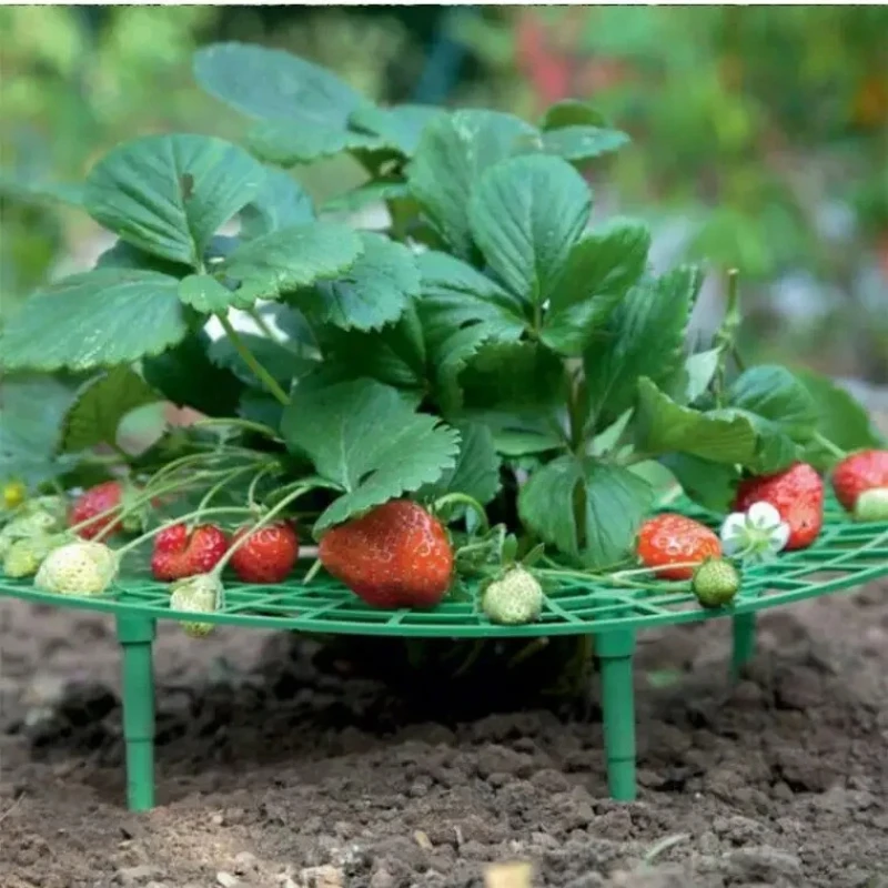 5/10pcs Strawberry Supports Greenhouse Garden Vegetable Fruit Growing Racks Trellis Garden Supplies for Keeping Plant Stand