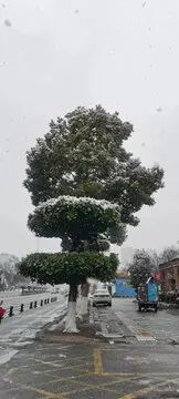 Racing RC Truck Auto Stuurarmen Stuurbrug Set voor 1/10 Tamiya DT-04 Fighter NXGEN Upgrades Onderdelen Accessoires