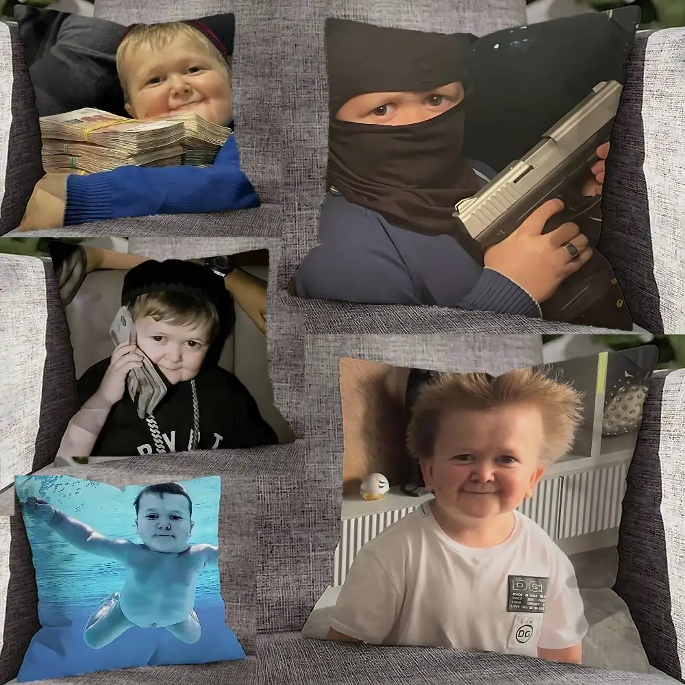 Hasbik Hasbulla Meme Throw Pillow Case For 45cm 40cm 55cm 50cm 30cm Square Car Pillowcase Shell