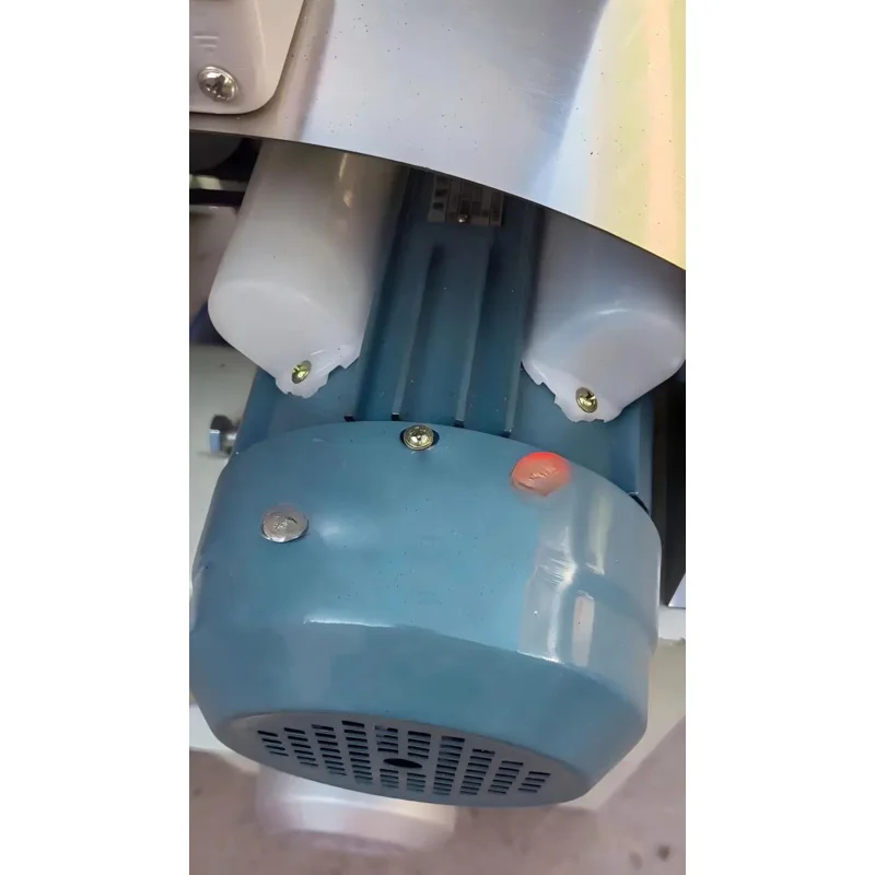 High Capacity Electric Peanut Red Skin Sheller Stainless Steel Motorized Peeler 220V/380V 200-500Kg/H Farm Machine
