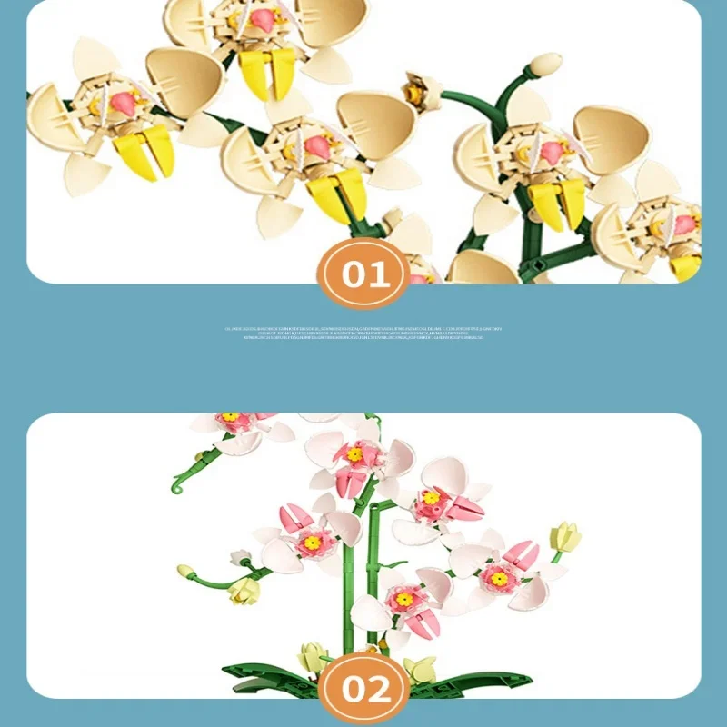 فالاينوبسيس بوعاء زهرة خالدة اللبنات مكتب سطح المكتب الديكور ألعاب تعليمية للأطفال البلاستيك أطقم منمذجة