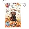 Chocolate Lab Fall Garden Flags Thanksgiving Pumpkin Yard Flag for Outside 12x18 Double Sided Autumn Labrador Dog Play Footb jjp