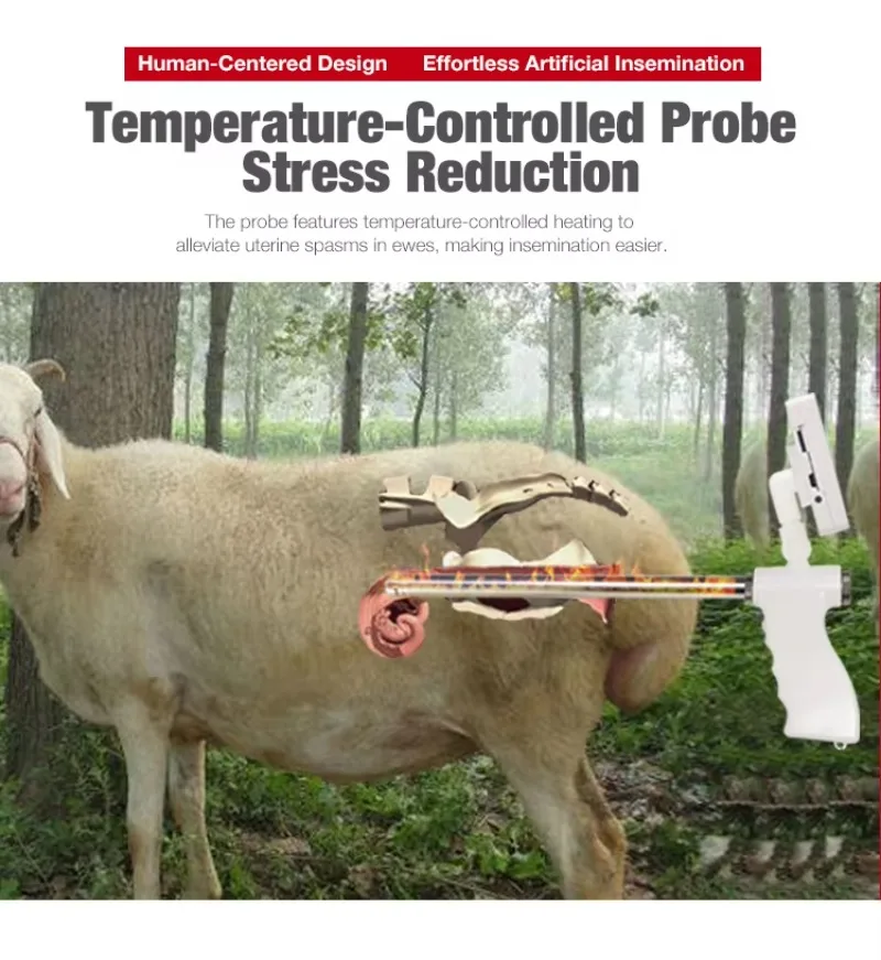 Farms use veterinary equipment sheep and goat visual breeding artificial insemination
