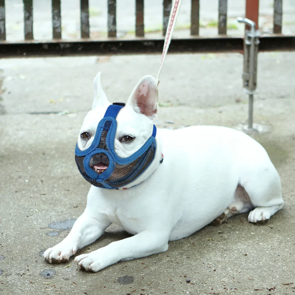 New French Bulldog Muzzle to Prevent Eating, Short-mouthed Dog Muzzle to Prevent Biting, Bulldog Special Mouth Cover Dog Mask