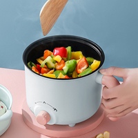 Electric Cooking Pot Rapid Heating Auto Power Outage  Anti Dry Burning Mini Electric Noodle Cooker Electric Hot Pot 220V