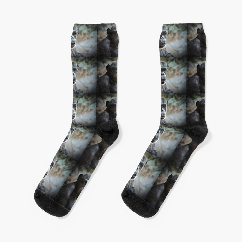 

Chimp portrait Socks heated shoes Novelties Men Socks Luxury Brand Women's