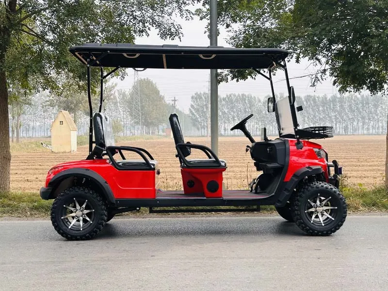 بيع المصنع مباشرة الكهربائية أفضل عربة عربات الغولف #3