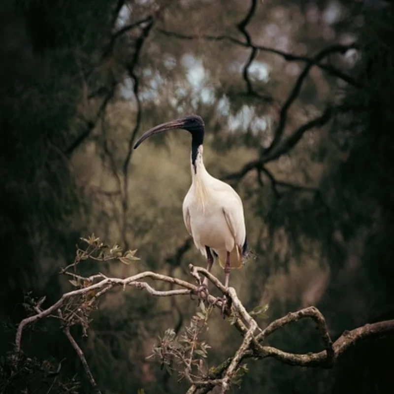 

4 шт., 135 мм, 2,6 дюйма, металлический обод колеса с бисером, набор резиновых шин для 1/8 1/10 RC гусеничного автомобиля, осевой SCX10 Wraith RR10 Capra TRXS TRX4