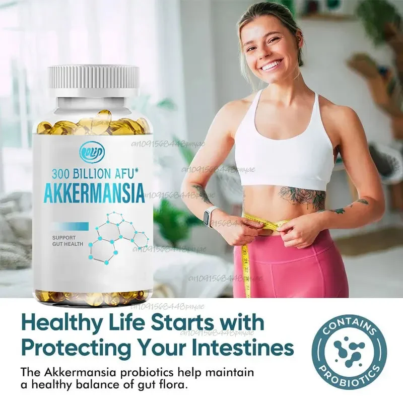 

300 Billion AFU Akkermansia Probiotics, GLP-1 Male and Female Probiotics, Digestive, Intestinal and Immune Health, 60 Capsules