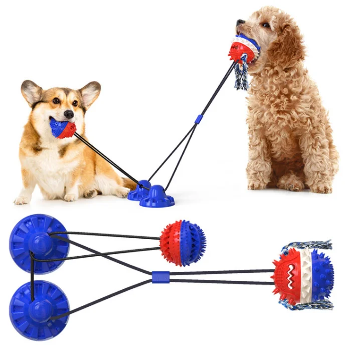 Jouets à mâcher actifs pour chiens, jouets interactifs à mâcher pour chiens, dents dures, grincement, mordre, jouets grinçants, livres de dents