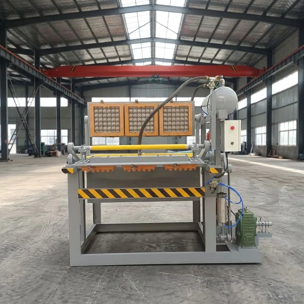 Semi Automatic Egg Tray Making Machine Eco Friendly Biodegradable Pulp Tray Manufacturing System for European Market