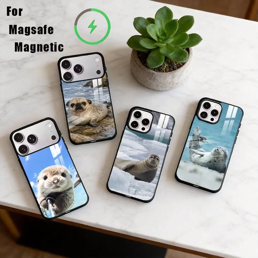 

Cute Funny Seals Phone Case For iPhone17,16,15,14,13,12,11 Plus,Pro Allows magnetic wireless charging
